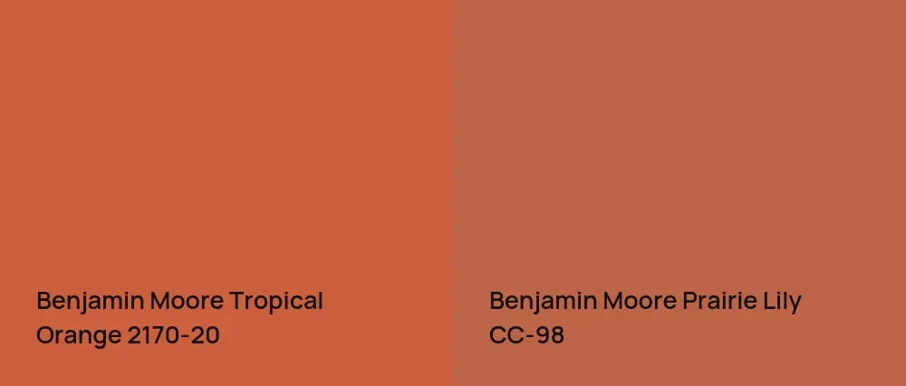 Benjamin Moore Tropical Orange 2170-20 vs Benjamin Moore Prairie Lily CC-98