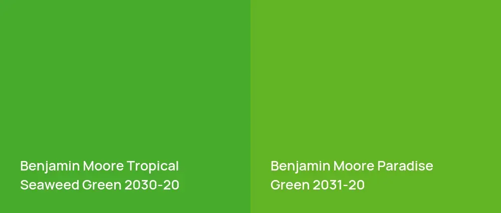Benjamin Moore Tropical Seaweed Green 2030-20 vs Benjamin Moore Paradise Green 2031-20
