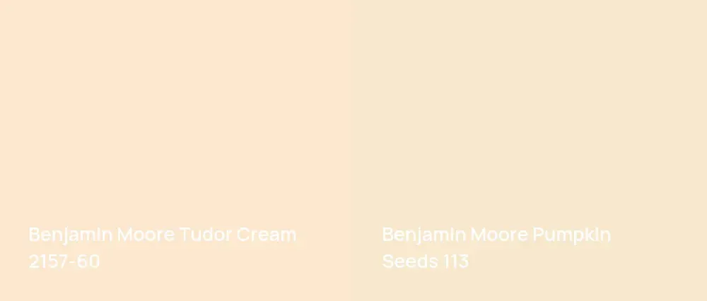 Benjamin Moore Tudor Cream 2157-60 vs Benjamin Moore Pumpkin Seeds 113