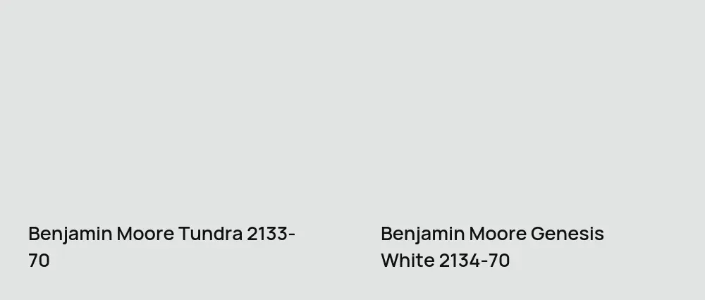 Benjamin Moore Tundra 2133-70 vs Benjamin Moore Genesis White 2134-70