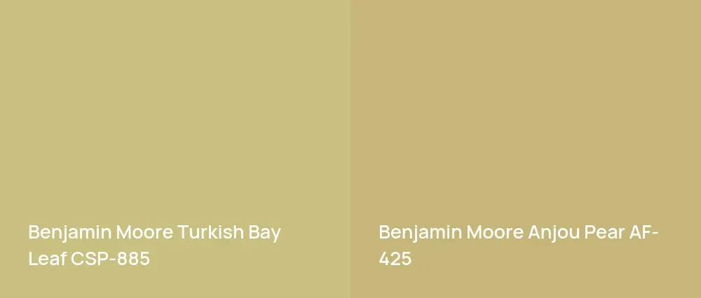 Benjamin Moore Turkish Bay Leaf CSP-885 vs Benjamin Moore Anjou Pear AF-425