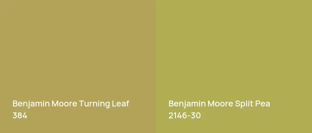 Benjamin Moore Turning Leaf 384 vs Benjamin Moore Split Pea 2146-30