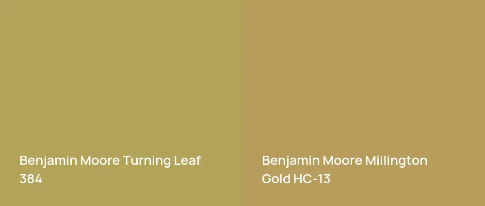 Benjamin Moore Turning Leaf 384 vs Benjamin Moore Millington Gold HC-13