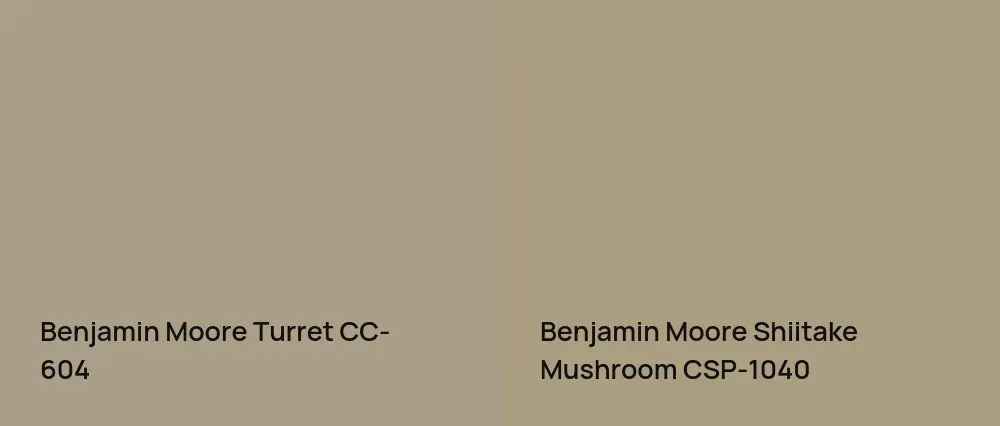 Benjamin Moore Turret CC-604 vs Benjamin Moore Shiitake Mushroom CSP-1040