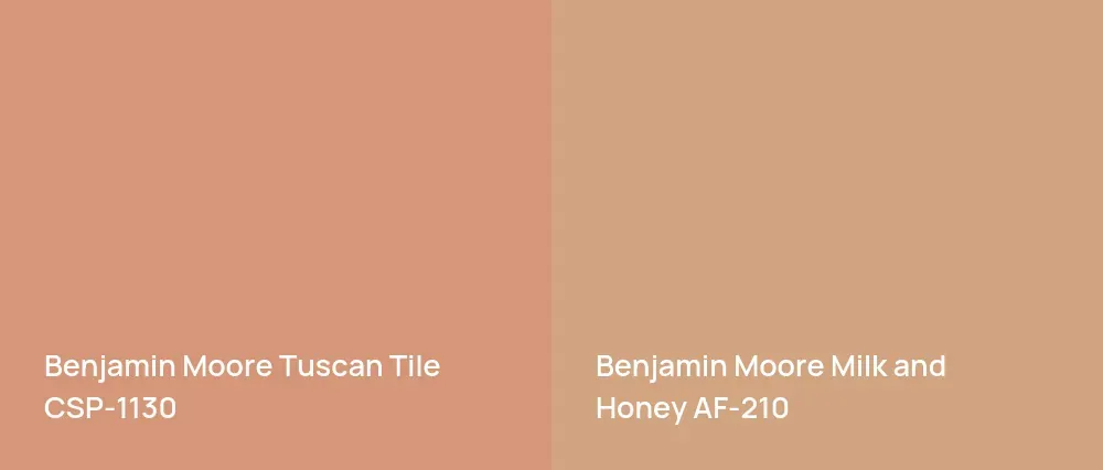 Benjamin Moore Tuscan Tile CSP-1130 vs Benjamin Moore Milk and Honey AF-210