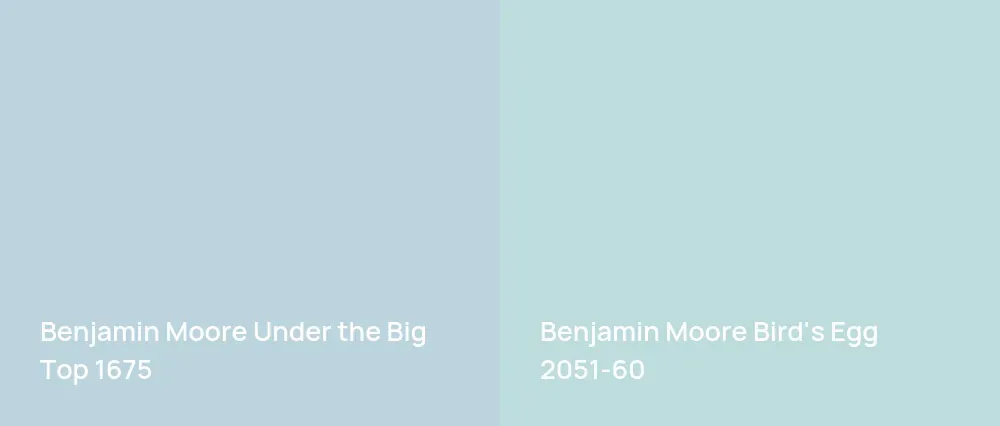 Benjamin Moore Under the Big Top 1675 vs Benjamin Moore Bird's Egg 2051-60