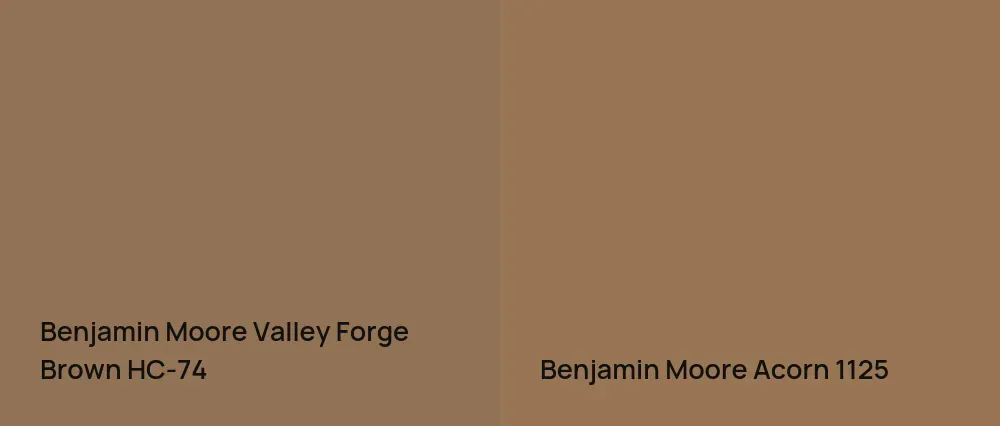 Benjamin Moore Valley Forge Brown HC-74 vs Benjamin Moore Acorn 1125
