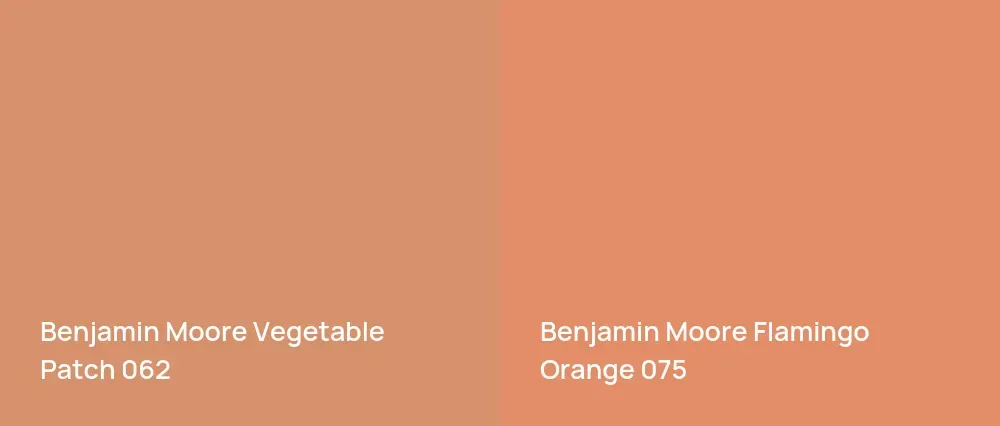 Benjamin Moore Vegetable Patch 062 vs Benjamin Moore Flamingo Orange 075