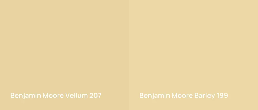 Benjamin Moore Vellum 207 vs Benjamin Moore Barley 199