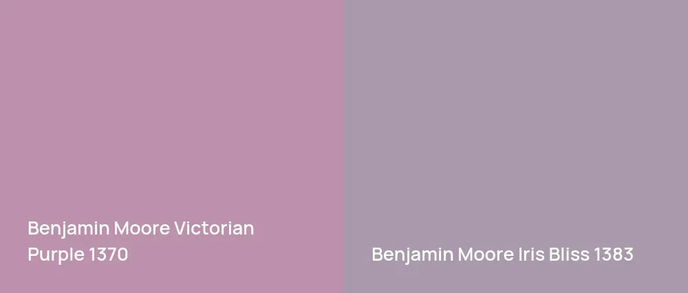 Benjamin Moore Victorian Purple 1370 vs Benjamin Moore Iris Bliss 1383