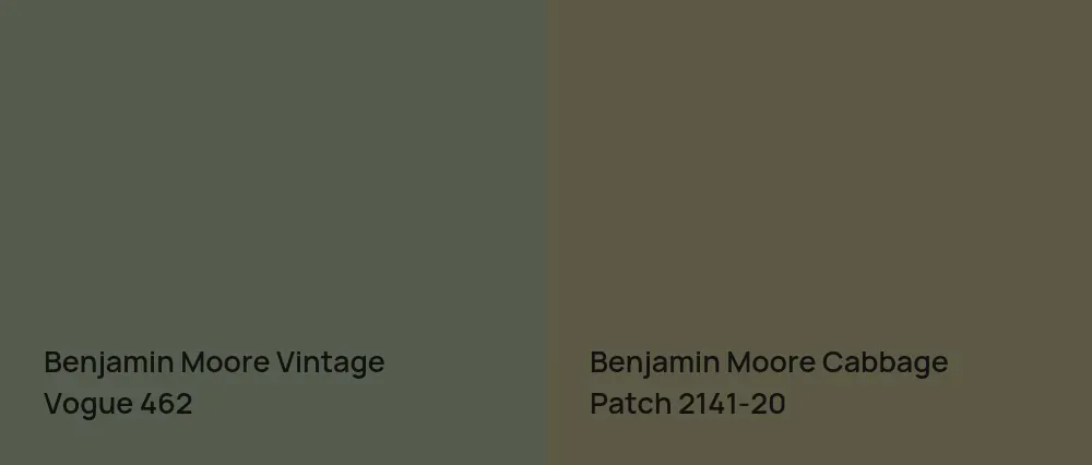 Benjamin Moore Vintage Vogue 462 vs Benjamin Moore Cabbage Patch 2141-20