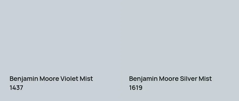 Benjamin Moore Violet Mist 1437 vs Benjamin Moore Silver Mist 1619