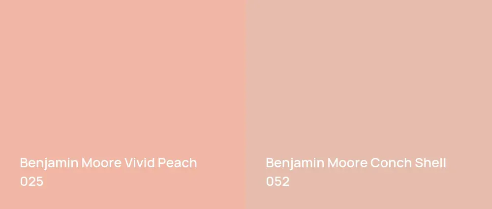 Benjamin Moore Vivid Peach 025 vs Benjamin Moore Conch Shell 052