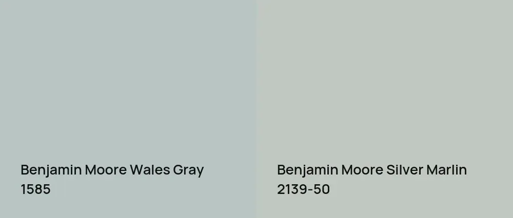 Benjamin Moore Wales Gray 1585 vs Benjamin Moore Silver Marlin 2139-50