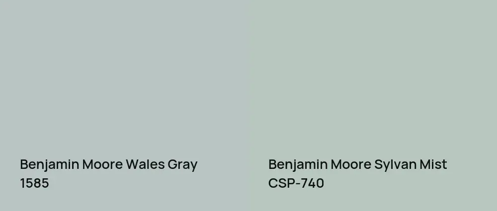 Benjamin Moore Wales Gray 1585 vs Benjamin Moore Sylvan Mist CSP-740