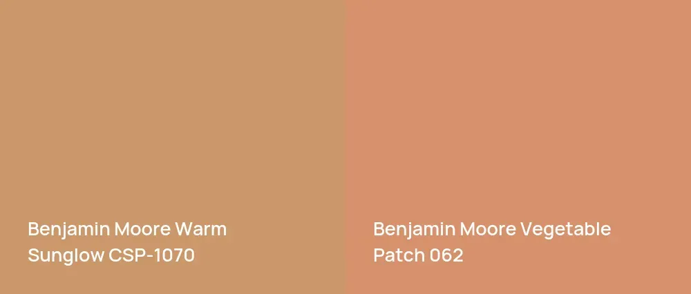 Benjamin Moore Warm Sunglow CSP-1070 vs Benjamin Moore Vegetable Patch 062
