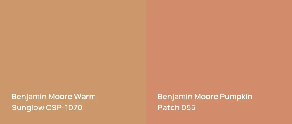 Benjamin Moore Warm Sunglow CSP-1070 vs Benjamin Moore Pumpkin Patch 055
