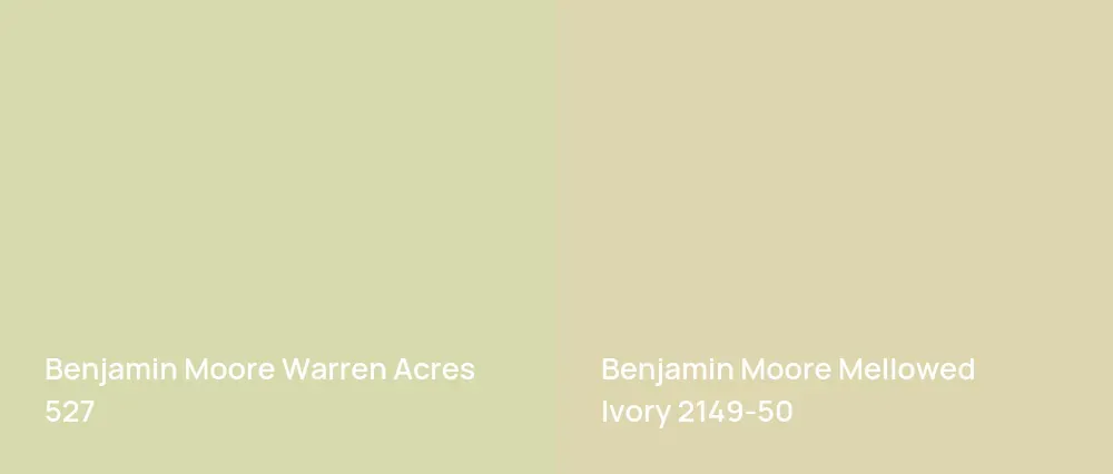 Benjamin Moore Warren Acres 527 vs Benjamin Moore Mellowed Ivory 2149-50