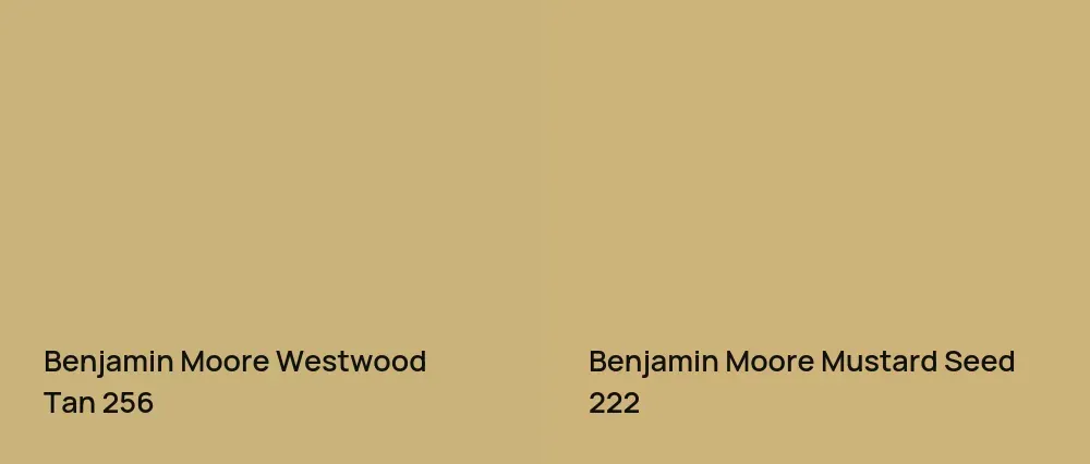 Benjamin Moore Westwood Tan 256 vs Benjamin Moore Mustard Seed 222
