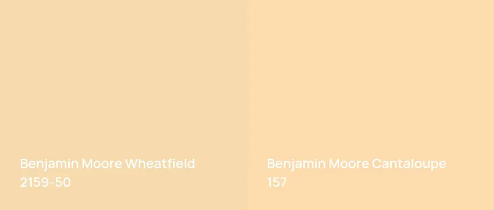 Benjamin Moore Wheatfield 2159-50 vs Benjamin Moore Cantaloupe 157