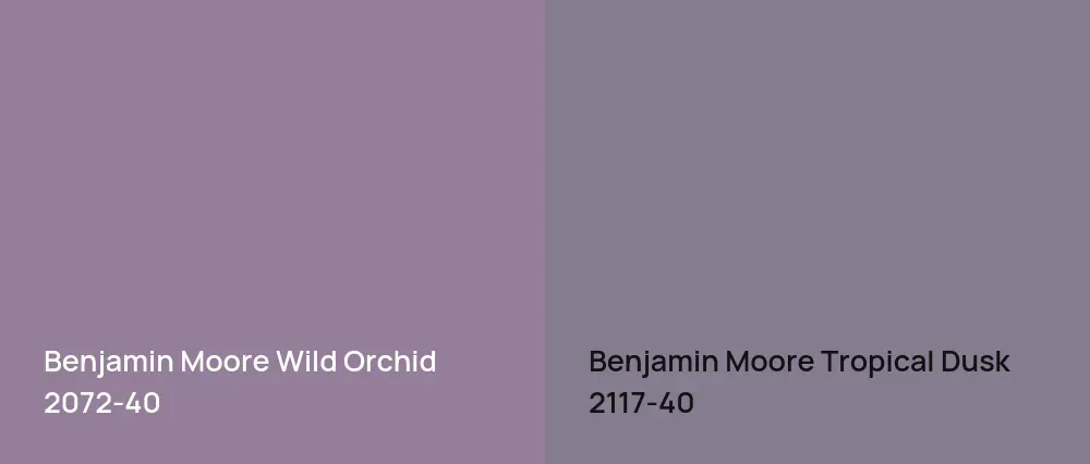 Benjamin Moore Wild Orchid 2072-40 vs Benjamin Moore Tropical Dusk 2117-40