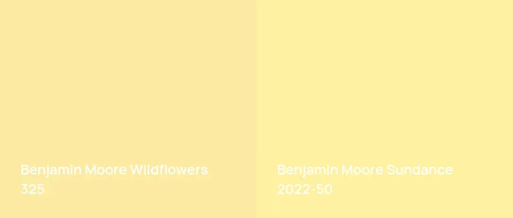 Benjamin Moore Wildflowers 325 vs Benjamin Moore Sundance 2022-50