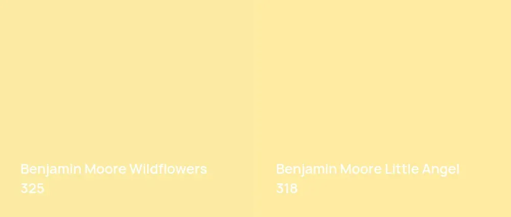 Benjamin Moore Wildflowers 325 vs Benjamin Moore Little Angel 318