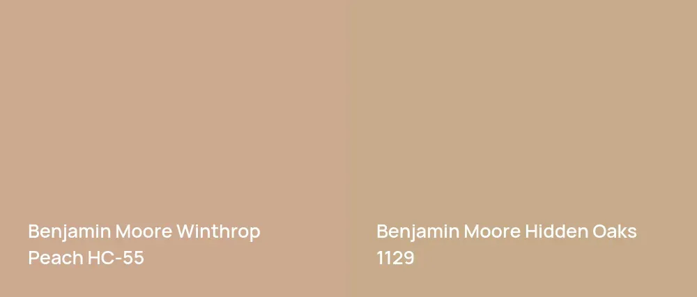 Benjamin Moore Winthrop Peach HC-55 vs Benjamin Moore Hidden Oaks 1129