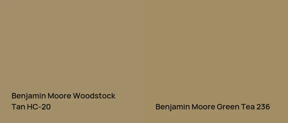 Benjamin Moore Woodstock Tan HC-20 vs Benjamin Moore Green Tea 236