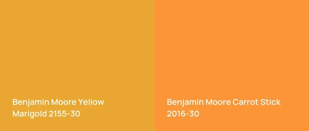 Benjamin Moore Yellow Marigold 2155-30 vs Benjamin Moore Carrot Stick 2016-30
