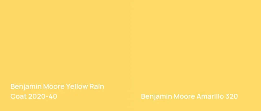 Benjamin Moore Yellow Rain Coat 2020-40 vs Benjamin Moore Amarillo 320
