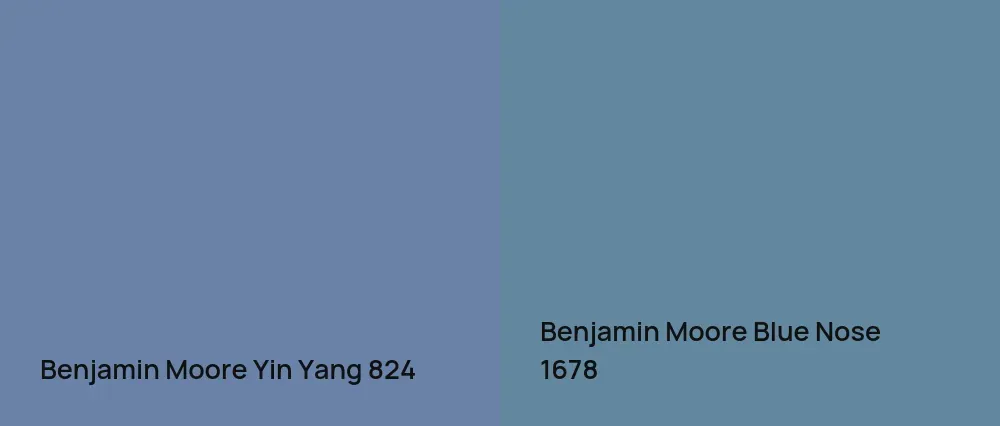 Benjamin Moore Yin Yang 824 vs Benjamin Moore Blue Nose 1678