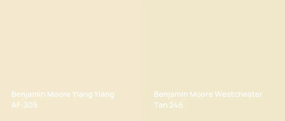 Benjamin Moore Ylang Ylang AF-305 vs Benjamin Moore Westchester Tan 246
