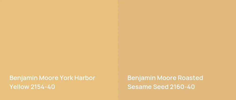 Benjamin Moore York Harbor Yellow 2154-40 vs Benjamin Moore Roasted Sesame Seed 2160-40