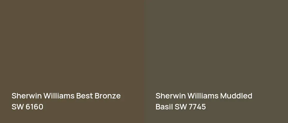 Sherwin Williams Best Bronze SW 6160 vs Sherwin Williams Muddled Basil SW 7745