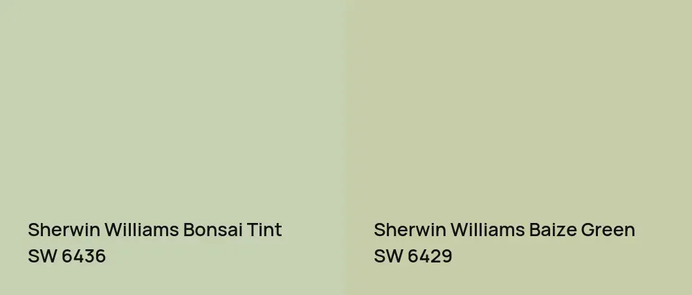 Sherwin Williams Bonsai Tint SW 6436 vs Sherwin Williams Baize Green SW 6429
