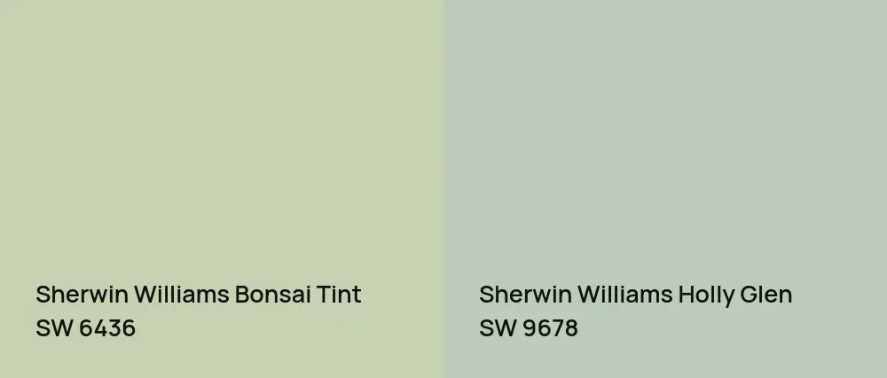 Sherwin Williams Bonsai Tint SW 6436 vs Sherwin Williams Holly Glen SW 9678