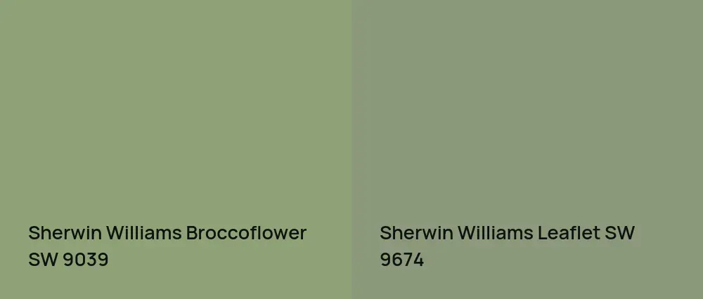 Sherwin Williams Broccoflower SW 9039 vs Sherwin Williams Leaflet SW 9674