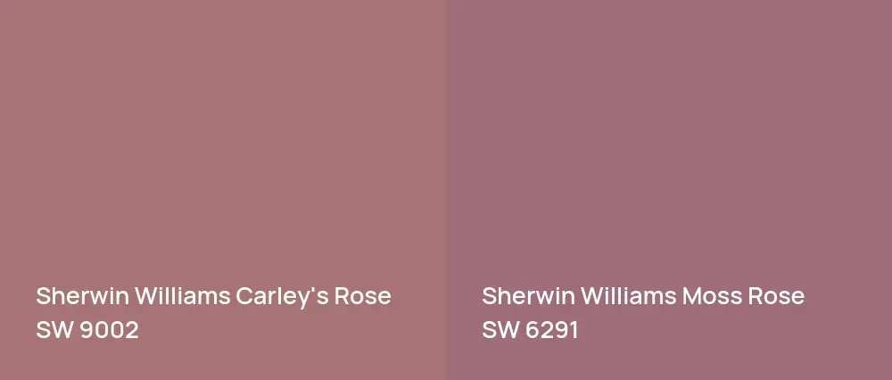 Sherwin Williams Carley's Rose SW 9002 vs Sherwin Williams Moss Rose SW 6291