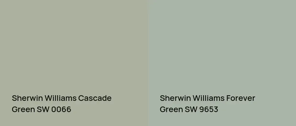 Sherwin Williams Cascade Green SW 0066 vs Sherwin Williams Forever Green SW 9653