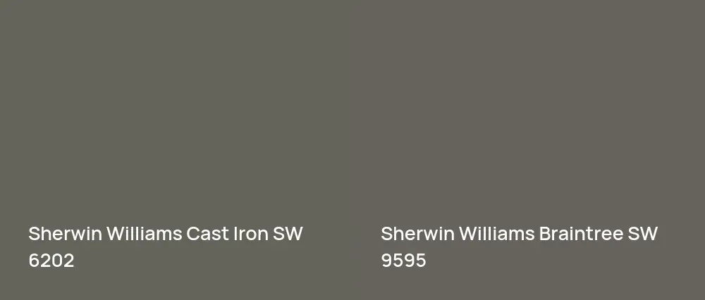 Sherwin Williams Cast Iron SW 6202 vs Sherwin Williams Braintree SW 9595