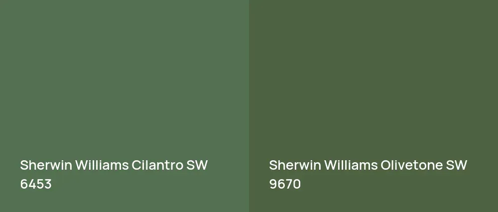 Sherwin Williams Cilantro SW 6453 vs Sherwin Williams Olivetone SW 9670
