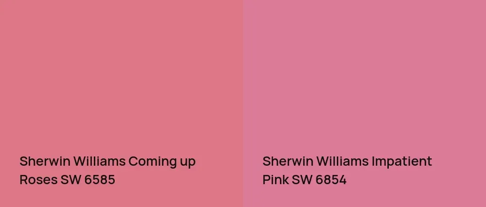 Sherwin Williams Coming up Roses SW 6585 vs Sherwin Williams Impatient Pink SW 6854