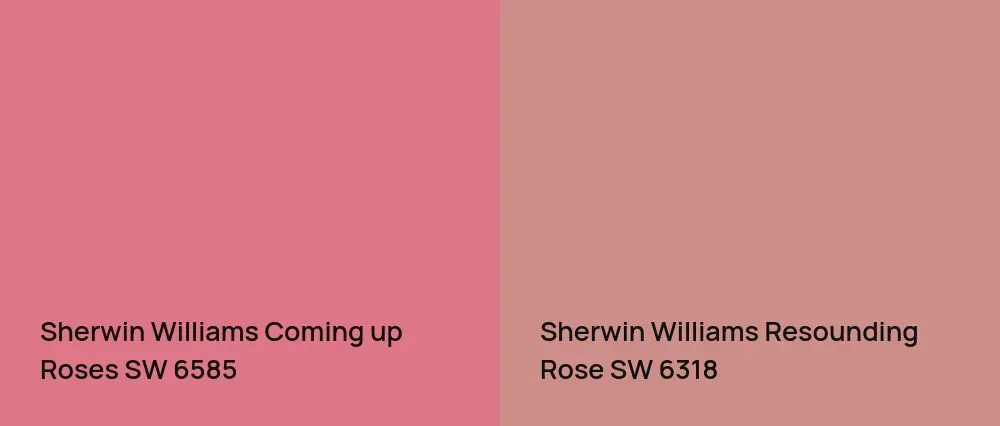 Sherwin Williams Coming up Roses SW 6585 vs Sherwin Williams Resounding Rose SW 6318