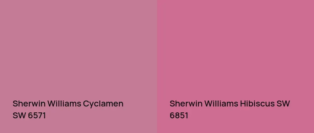 Sherwin Williams Cyclamen SW 6571 vs Sherwin Williams Hibiscus SW 6851