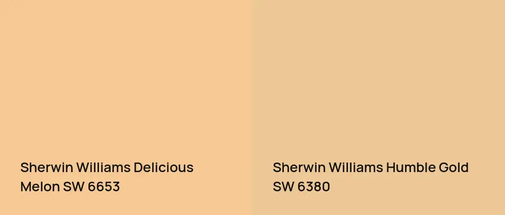 Sherwin Williams Delicious Melon SW 6653 vs Sherwin Williams Humble Gold SW 6380