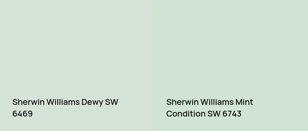 Sherwin Williams Dewy SW 6469 vs Sherwin Williams Mint Condition SW 6743
