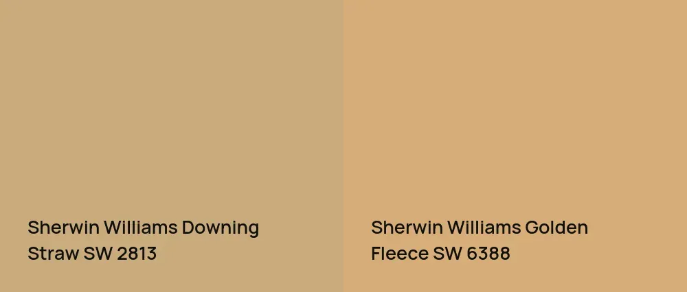 Sherwin Williams Downing Straw SW 2813 vs Sherwin Williams Golden Fleece SW 6388