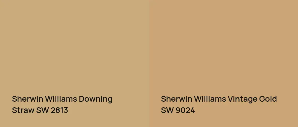 Sherwin Williams Downing Straw SW 2813 vs Sherwin Williams Vintage Gold SW 9024