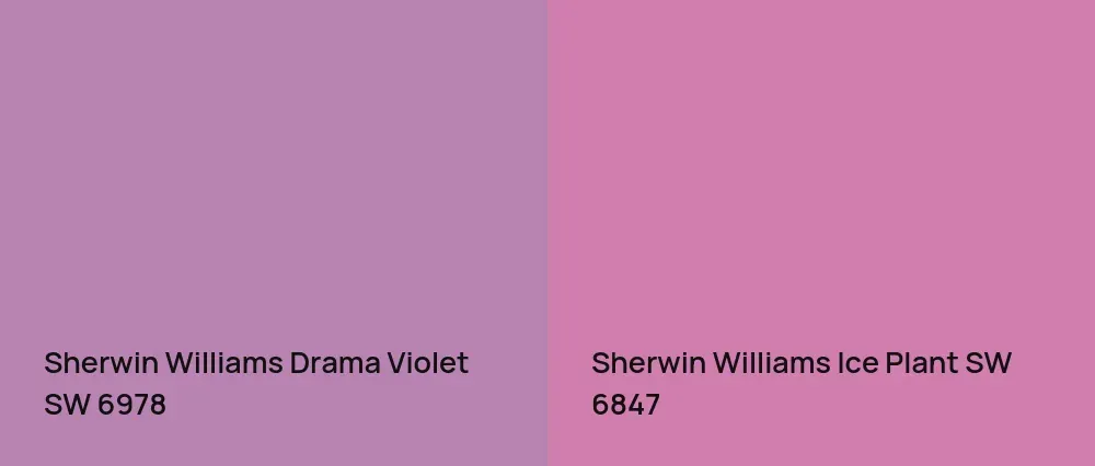 Sherwin Williams Drama Violet SW 6978 vs Sherwin Williams Ice Plant SW 6847